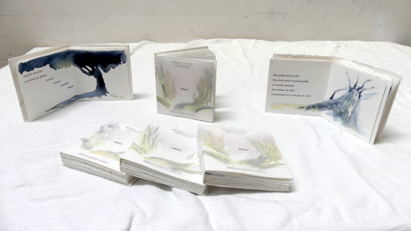 Livre « arbres »Voyage au pays des arbres, 10×10, aquarelle et typo au plomb, Editions galerie Marina